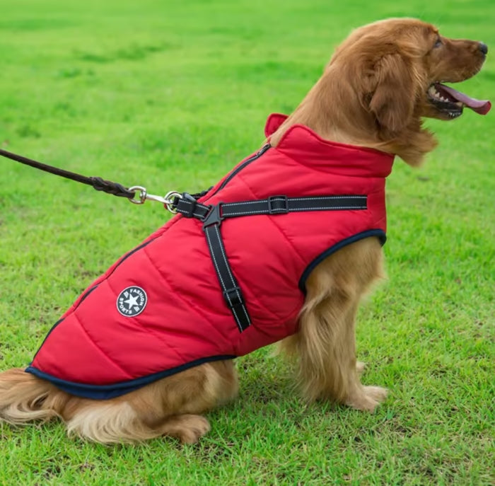 Wasserdichte Winterjacke für Hunde
