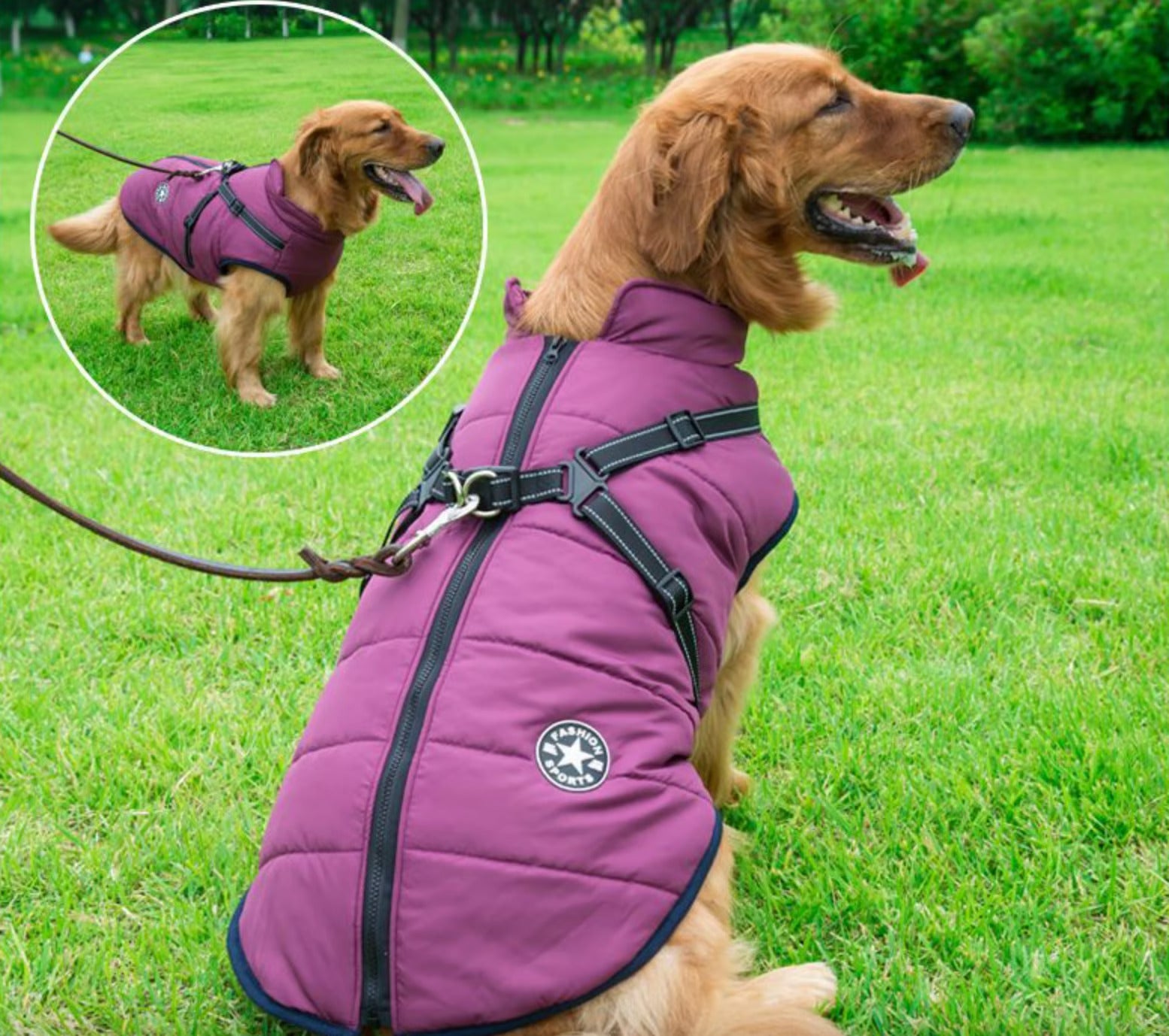 Wasserdichte Winterjacke für Hunde